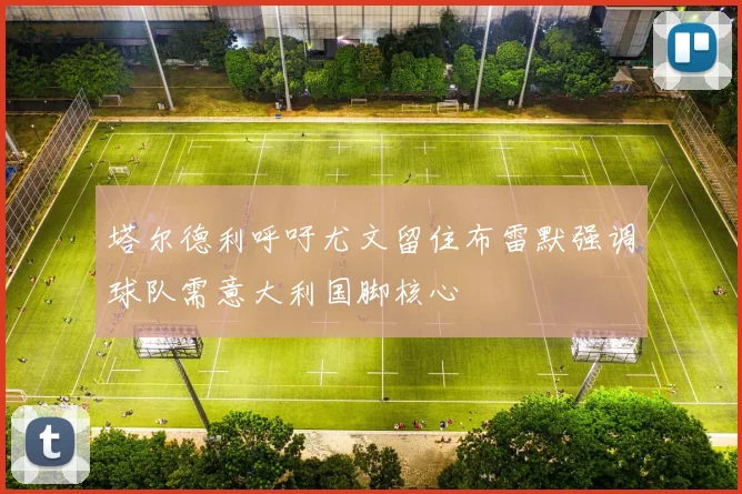 塔尔德利呼吁尤文留住布雷默强调球队需意大利国脚核心
