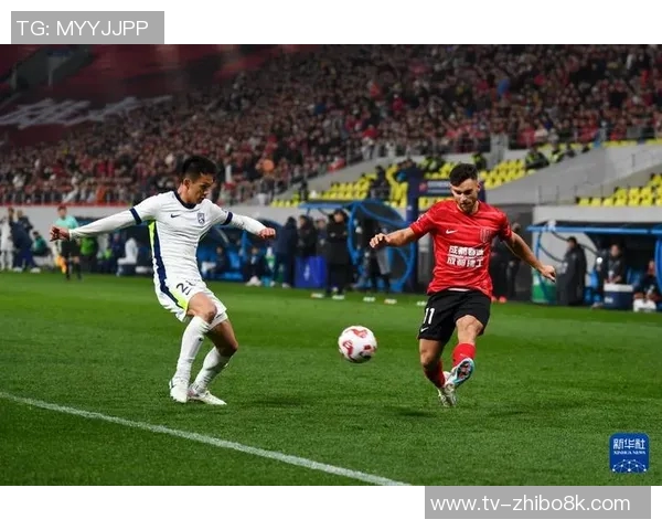 李国旭透露宋岳伤情严重赛季报销全力争取主场战胜三镇